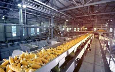 Nahrungsmittelhygiene: Maschinen- und Anlagenbauer in die Pflicht nehmen