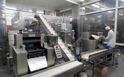 Wachstum durch intelligente Fördertechnik: METZEN macht Food-Produktion schneller, sauberer, profitabler